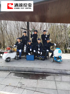 镇江杀虫公司 全方位害虫治理服务，守护您的健康与安宁